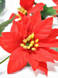 VRB Dec