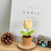VRB DecTM 2 Pcs Crochet Flowers Artificial Tulip for Office Desk Car Dashboard Decor,Table Decor,Home Decoration, Office,Decor,Bedroom, Christmas ( Tulip with Knitted Crochet Pot)