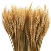 VRB Dec 50 Pcs Set 17inch Natural Dried Wheat Grass,Real Wheat,Reed Pampas,Boho Bouquet,Artificial Flowers Decor for Table Vase Home Decoration.(Natural) (Dried)