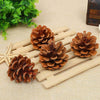 VRB Dec 24 pcs Hanging Chritmas Ornaments for Christmas Decorations Items/Chritmas Tree/Decoration Items Hanging Accessories for Home, Office, Bedroom, Balcony (Pine Cones - 24 Pcs)