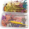 VRB Dec 5 Box Natural Real Dried Flowers for Art Craft/rasin Art kit - Mixed & Multicolor for Soap, Artificial Candles,Scrapbook, DIY, Resin Tray Jewellery, Pendant
