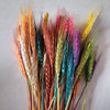 VRB Dec 50 Pcs Set 17inch Multicolor Natural Dried Wheat Grass,Real Wheat,Reed Pampas,Boho Bouquet,Artificial Flowers Decor for Table Vase Home Decoration.(Multicolor)