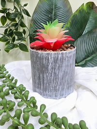 VRB Dec