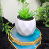 VRB Dec 2Pcs Artificial Succulent Small Plants,Artificial Potted Plants,Artificial Plants with Pot,Artificial Plants for Decoration,Home Decor,Living Room,Shelf,Kitchen,Bedroom. (Design 14)