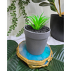 VRB Dec 2Pcs Artificial Succulent Small Plants,Artificial Potted Plants,Artificial Plants with Pot,Artificial Plants for Decoration,Home Decor,Living Room,Shelf,Kitchen,Bedroom. (Design 4)