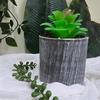 VRB Dec 2Pcs Artificial Succulent Small Plants,Artificial Potted Plants,Artificial Plants with Pot,Artificial Plants for Decoration,Home Decor,Living Room,Shelf,Kitchen,Bedroom. (Design 9)