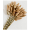 VRB Dec 50pcs Dried Bunny Tails 17inch Natural Dried Pampas Grass,Real Pampas Grass,Reed Pampas,Boho Bouquet,Artificial Flowers Decor for Table Vase Home Decoration.