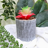 VRB Dec 2Pcs Artificial Succulent Small Plants,Artificial Potted Plants,Artificial Plants with Pot,Artificial Plants for Decoration,Home Decor,Living Room,Shelf,Kitchen,Bedroom. (Design 7)