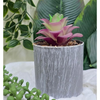 VRB Dec 2Pcs Artificial Succulent Small Plants,Artificial Potted Plants,Artificial Plants with Pot,Artificial Plants for Decoration,Home Decor,Living Room,Shelf,Kitchen,Bedroom. (Design 6)