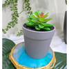 VRB Dec 2Pcs Artificial Succulent Small Plants,Artificial Potted Plants,Artificial Plants with Pot,Artificial Plants for Decoration,Home Decor,Living Room,Shelf,Kitchen,Bedroom. (Design 5)