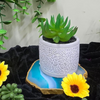 VRB Dec 2Pcs Artificial Succulent Small Plants,Artificial Potted Plants,Artificial Plants with Pot,Artificial Plants for Decoration,Home Decor,Living Room,Shelf,Kitchen,Bedroom. (Design 19)