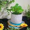 VRB Dec 2Pcs Artificial Succulent Small Plants,Artificial Potted Plants,Artificial Plants with Pot,Artificial Plants for Decoration,Home Decor,Living Room,Shelf,Kitchen,Bedroom. (Design 17)