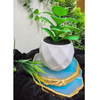 VRB Dec 2Pcs Artificial Succulent Small Plants,Artificial Potted Plants,Artificial Plants with Pot,Artificial Plants for Decoration,Home Decor,Living Room,Shelf,Kitchen,Bedroom. (Design 12)