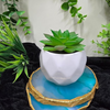 VRB Dec 2Pcs Artificial Succulent Small Plants,Artificial Potted Plants,Artificial Plants with Pot,Artificial Plants for Decoration,Home Decor,Living Room,Shelf,Kitchen,Bedroom. (Design 11)
