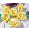 VRB Dec12 Pcs Artificial Fabric Pheony Rose Fake Flowers Water Floating Flowers,Festival and Events, Home, Table, Bedroom, Pooja Room Decoration Items and DIY (Beinge (Pack of 12pcs))