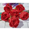 VRB Dec 12 Pcs Artificial Fabric Pheony Rose Fake Flowers Water Floating Flowers,Festival and Events, Home, Table, Bedroom, Pooja Room Decoration Items and DIY (Red (Pack of 12pcs))