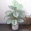 VRB Dec 1 Pcs Artificial White Monstra Plants with Pot Plants Leaves Tree Tropical 12 Palm Leaves Faux Areca Palm Plants Indoor Real Touch Monstera Plant for Home/Decor.