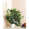 VRB Dec 1 Pcs Artificial Fiscus leaf Plants with Pot Plants Leaves Tree Tropical 12 Palm Leaves Faux Areca Palm Plants Indoor Real Touch Monstera Plant for Home/Decor.