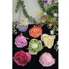 VRB Dec 12 Pcs Artificial Rose Flowers for Decoration,Fake Water Floating Flowers for Pooja Thali, Festival and Events, Home, Table, Badroom, Pooja Room & DIY (12 Pcs - Foam Big Dahlia)