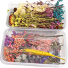 VRB Dec 5 Box Natural Real Dried Flowers for Art Craft/rasin Art kit - Mixed & Multicolor for Soap, Artificial Candles,Scrapbook, DIY, Resin Tray Jewellery, Pendant (5 Box - Multicolor)