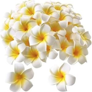 VRB Dec™ 12 Pcs Artificial Big Foam Hawaaii Fake Foam Water Floating Flowers for Pooja Thali, Festival and Events, Home, Table, Badroom, Pooja Room, Diwali Decoration Items and DIY Craft