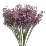 VRB DecTM 5 Pcs Artificial Baby's Breath Gypsophila Bouquets Flower Sticks for Home Decoration | Faux Flowers for Vases | Decoration Items for Living Room|Home Decor|Diwali Decor|Chritmas