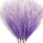 Shaded Purple
