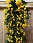 VRB Dec™ Artificial Rose Orchid Flowers Bunch | Orchid Hanging Flowers Decoration|Artificial Flower for Home Decor Wall Hanging for Diwali/Ganpati/Christmas/Valentine Decoration.