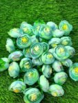 VRB Dec™ 50 Pcs Artificial Small Pheony Flowers Fake Water Floating Flowers for Pooja Thali, Festival and Events, Home Decor,Table, Pooja Room, Diwali Decoration Items and DIY Craft