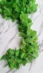 VRB Dec™ 1 Pcs Artificial Flowers Vine Blossom/Roses Garland Fake (6 ft) Flowers fabric Roses/Blossom Garland for Wedding Decor Diwali/Ganpati/Garden Wall Valentine (Green Money Plant Creeper)