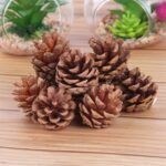 Hanging Natural Pine Cones