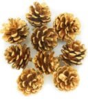 VRB Dec™ 12 Pcs Christmas Hanging Ornaments Shatterproof Gold Xmas Tree Decorations Balls for Party Decoration,with Hanging Hole Christmas Tree Decoration Items