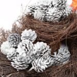 Hanging Silver Pine Cones