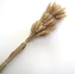 VRB Dec 50pcs Dried Bunny Tails 17inch Natural Dried Pampas Grass,Real Pampas Grass,Reed Pampas,Boho Bouquet,Artificial Flowers Decor for Table Vase Home Decoration.