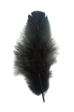 VRB Dec 90 Pcs Natural Dyed Feathers for Crafts/Craft Materials/Art and Craft kit & Dream Catcher Making Feathers for Kids Handmade Wedding DIY Decorations Natural Feather.