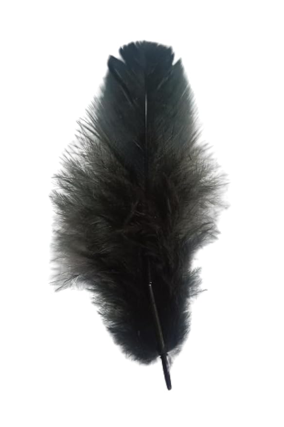 VRB Dec 90 Pcs Natural Dyed Feathers for Crafts/Craft Materials/Art and Craft kit & Dream Catcher Making Feathers for Kids Handmade Wedding DIY Decorations Natural Feather.