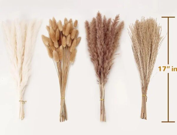 VRB Dec 95 Pcs Set 17inch Natural Dried Pampas Grass,Real Rabbit Bunny Tail,Reed Pampas,Boho Bouquet,Artificial Flowers Decor for Table Vase Home Decoration.