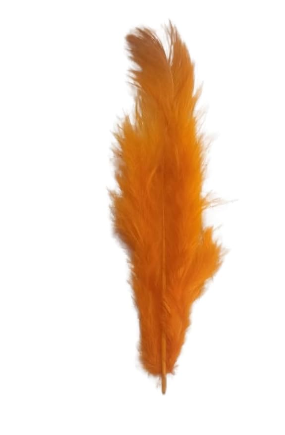 VRB Dec 90 Pcs Natural Dyed Feathers for Crafts/Craft Materials/Art and Craft kit & Dream Catcher Making Feathers for Kids Handmade Wedding DIY Decorations Natural Feather.