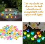 VRB Dec 20pcs Small Miniature Decor Items/Miniature/Toys for Garden Decorations,Toys for Garden/Miniature Garden Accessories for Home Decor,Figurines, Cake Decoration Items (Small Bird)