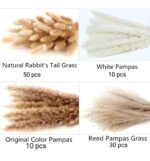 VRB Dec 95 Pcs Set 17inch Natural Dried Pampas Grass,Real Rabbit Bunny Tail,Reed Pampas,Boho Bouquet,Artificial Flowers Decor for Table Vase Home Decoration.