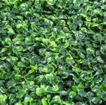 VRB Dec 12 pcs Artificial Grass Vertical Wall Small Leaves Tiles | Vertical Garden Wall Tiles (40 X 60 cm) (Pack of 12), Green