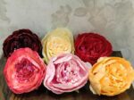 VRB Dec 12 Pcs Artificial Fabric Pheony Rose Fake Flowers Water Floating Flowers,Festival and Events, Home, Table, Bedroom, Pooja Room Decoration Items and DIY (Multi Assorted (Pack of 12pcs))