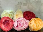 VRB Dec 12 Pcs Artificial Fabric Pheony Rose Fake Flowers Water Floating Flowers,Festival and Events, Home, Table, Bedroom, Pooja Room Decoration Items and DIY (Multi Assorted (Pack of 12pcs))