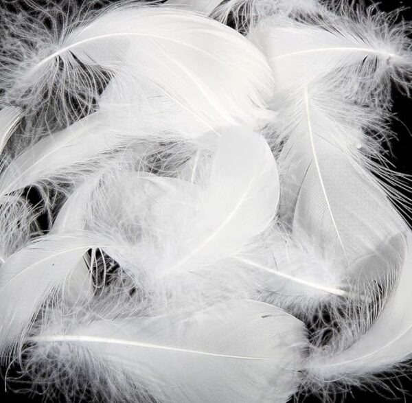 VRB Dec 90 Pcs Natural Dyed Feathers for Crafts/Craft Materials/Art and Craft kit & Dream Catcher Making Feathers for Kids Handmade Wedding DIY Decorations Natural Feather.