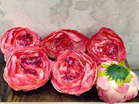 71WCkzzhQhL._SX679_