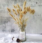 VRB Dec 50pcs Dried Bunny Tails 17inch Natural Dried Pampas Grass,Real Pampas Grass,Reed Pampas,Boho Bouquet,Artificial Flowers Decor for Table Vase Home Decoration.