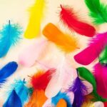 Multicolour