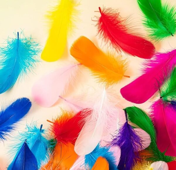 VRB Dec 90 Pcs Natural Dyed Feathers for Crafts/Craft Materials/Art and Craft kit & Dream Catcher Making Feathers for Kids Handmade Wedding DIY Decorations Natural Feather.