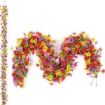 Multicolour