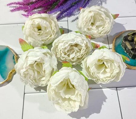 819rMW421mL._SX679_